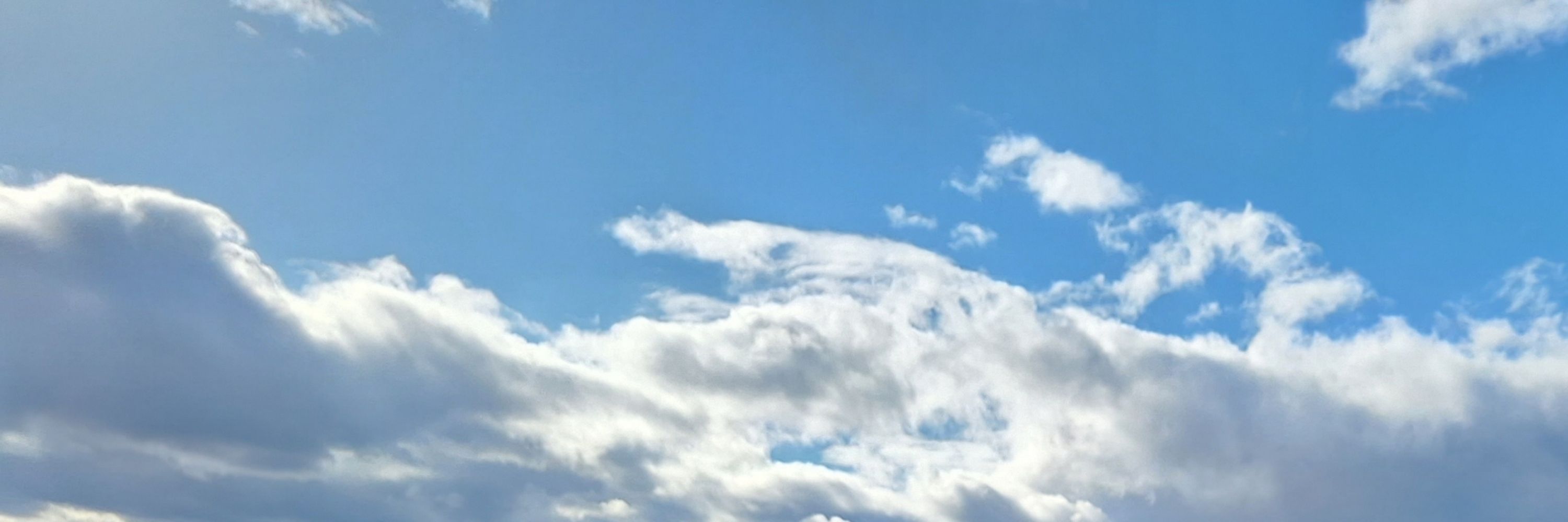 Quagsire