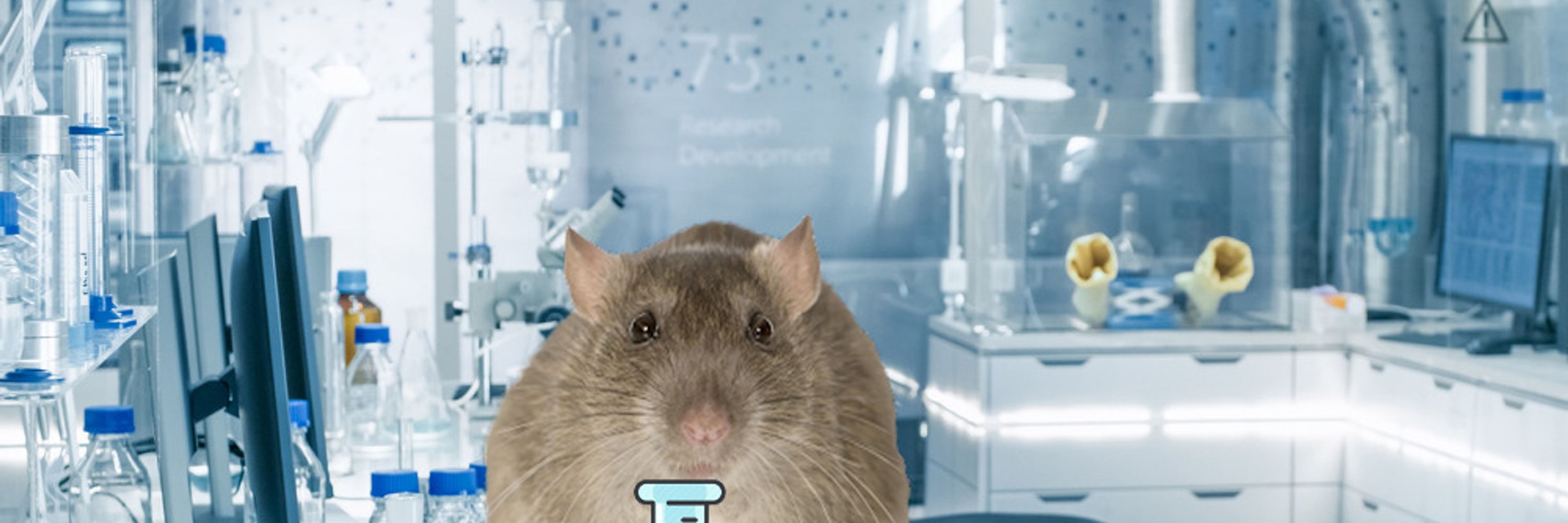 Rat Of Science 