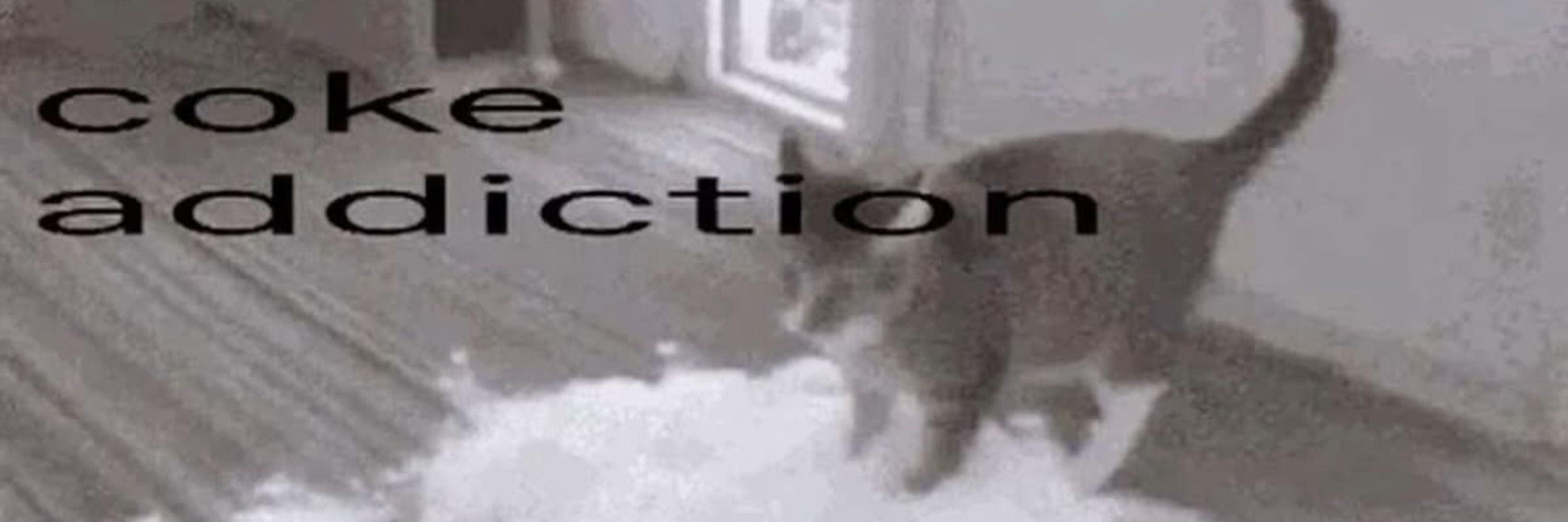 callie