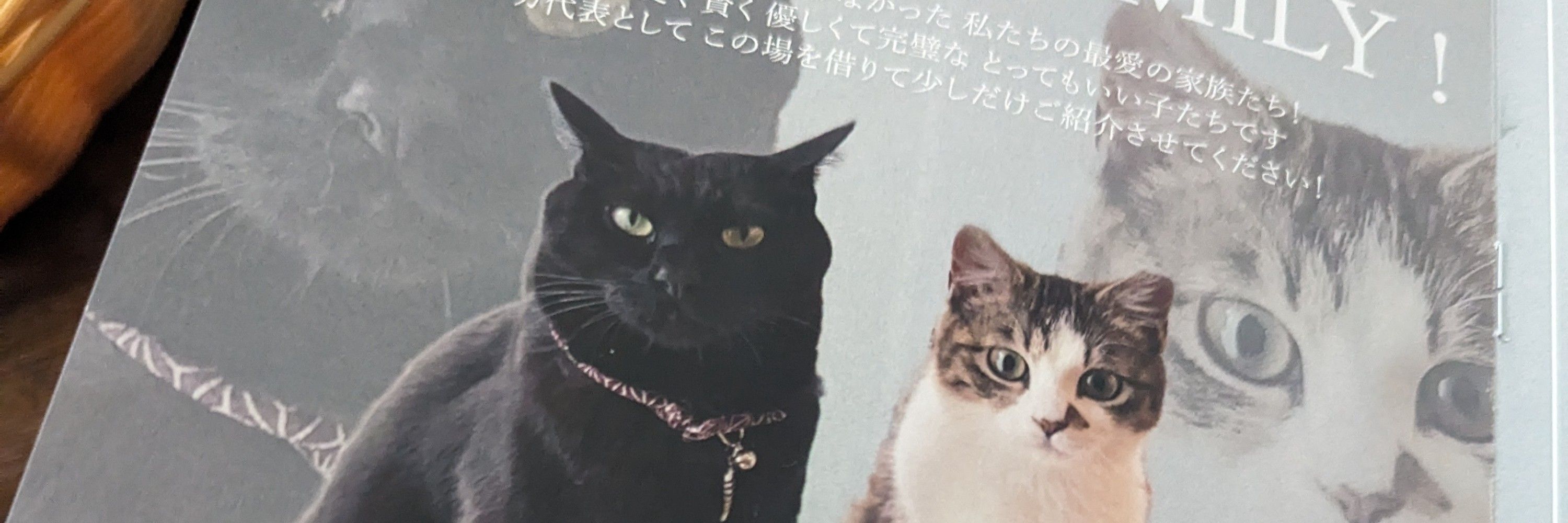 八木日辻