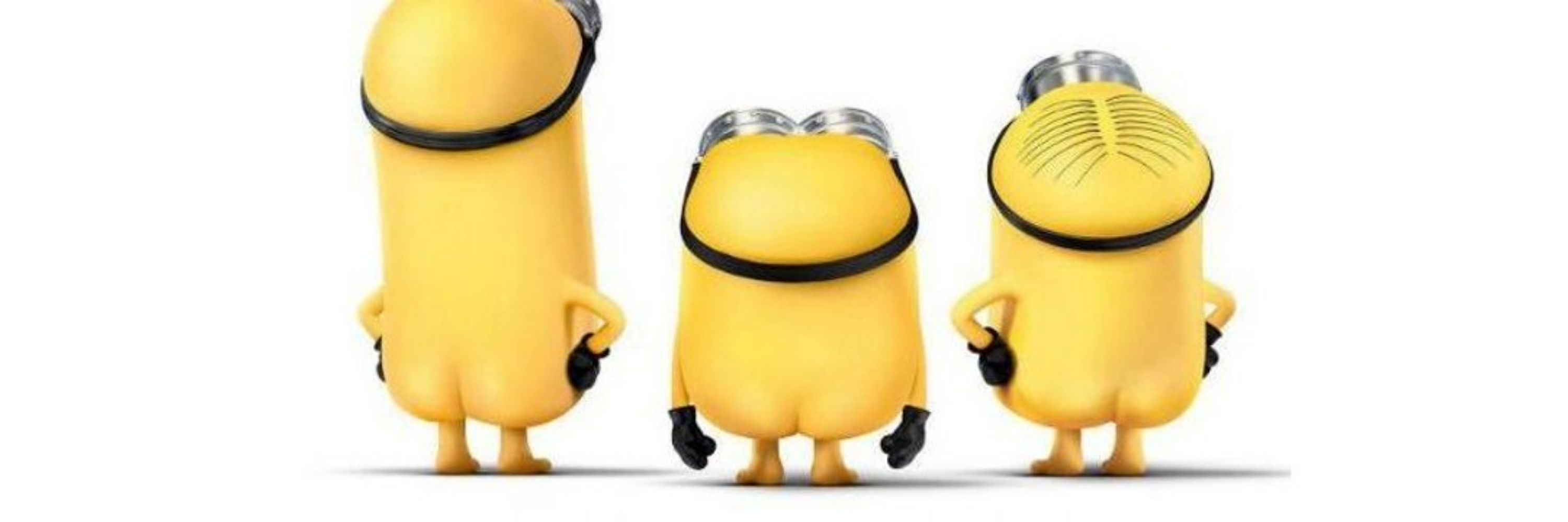 آقای مستر