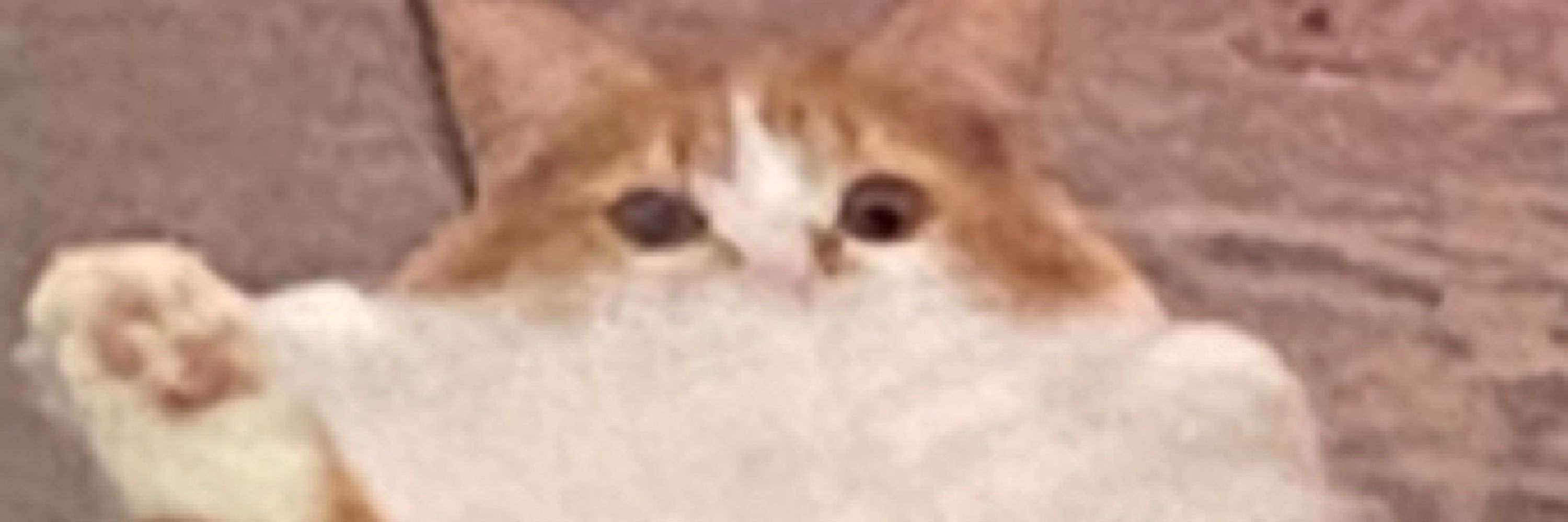 Hegiman