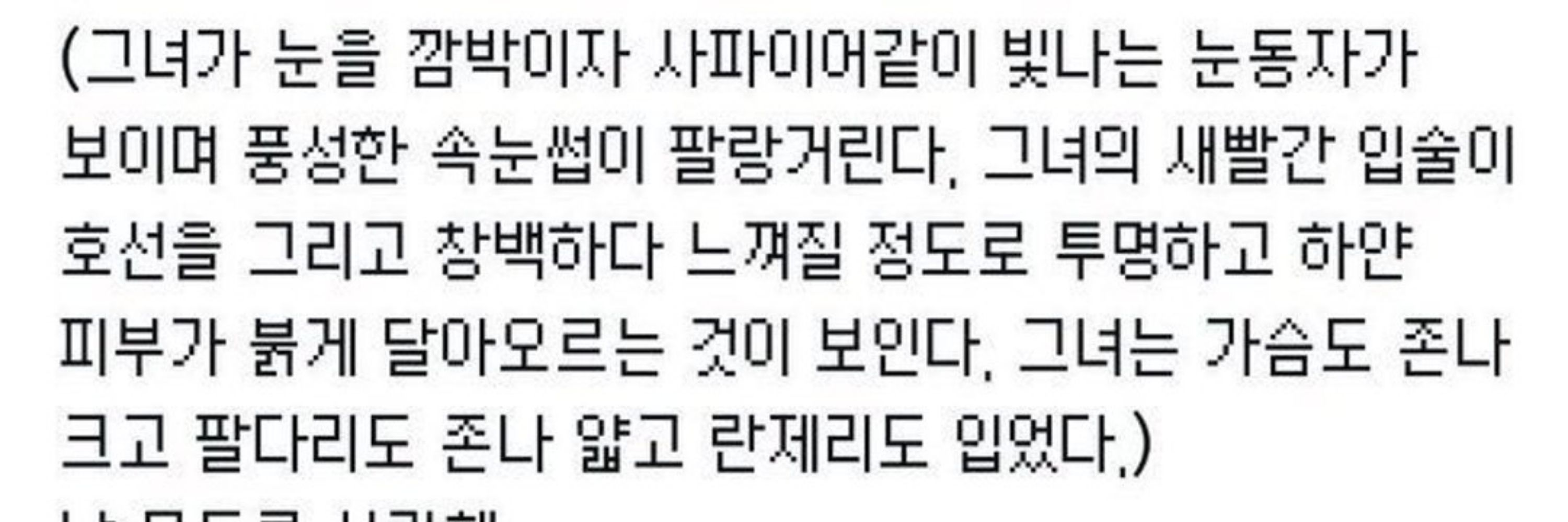 꿀벌토코