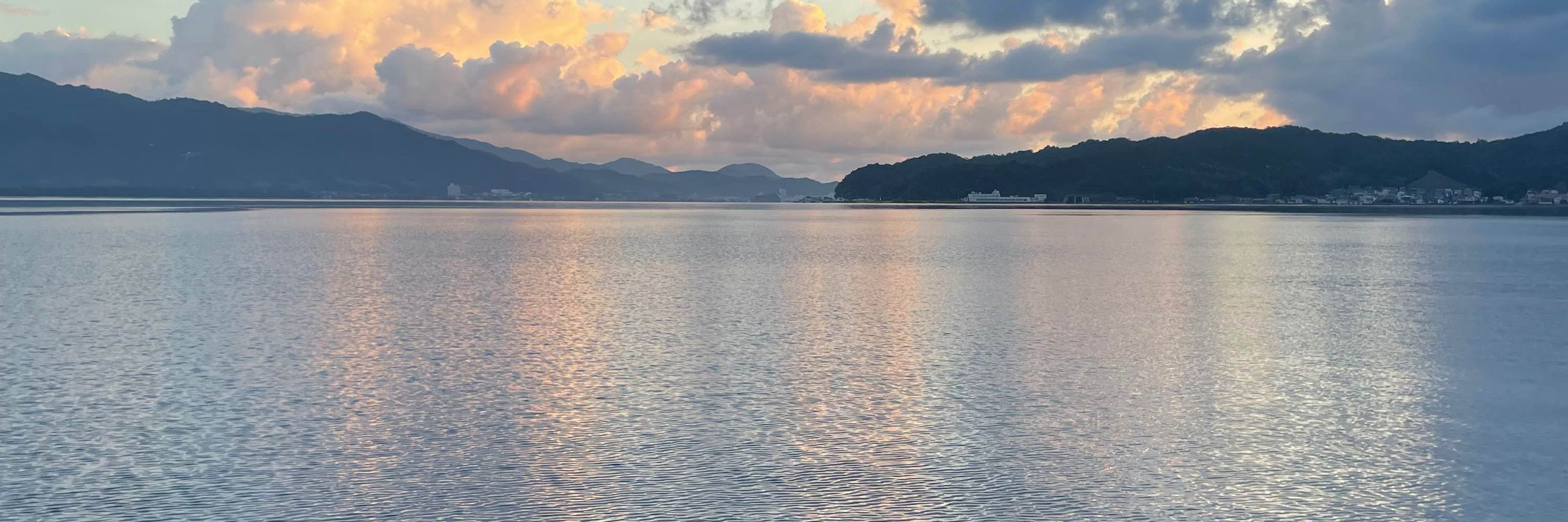 海菜/海月