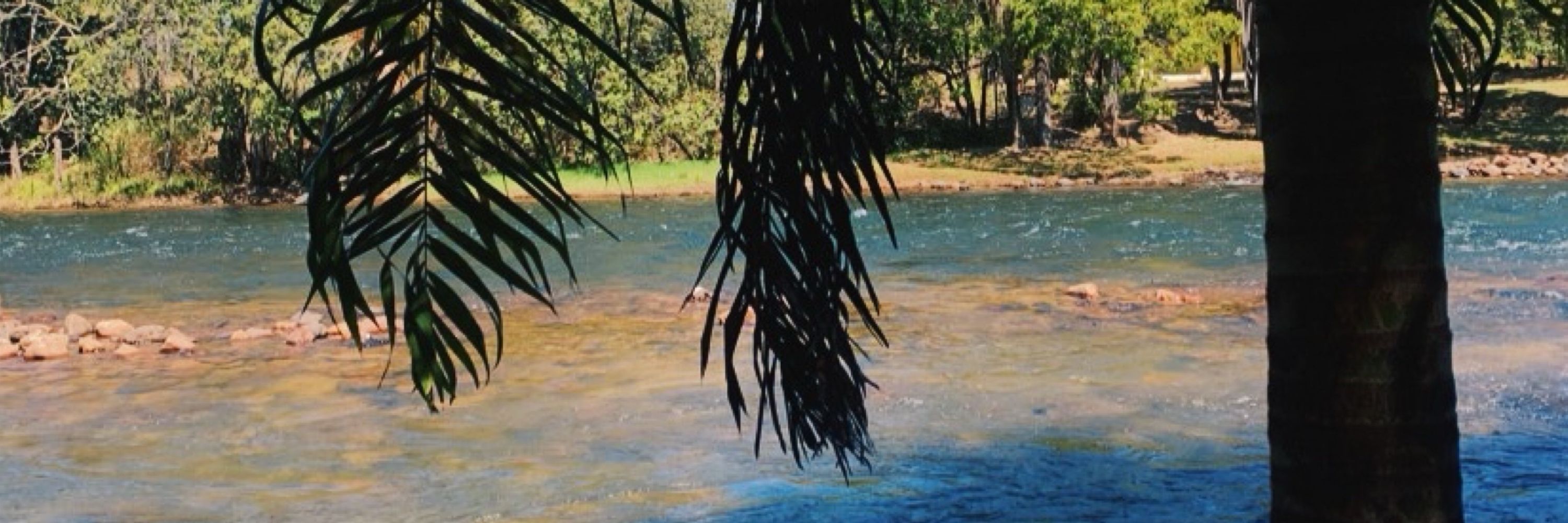 anaclara