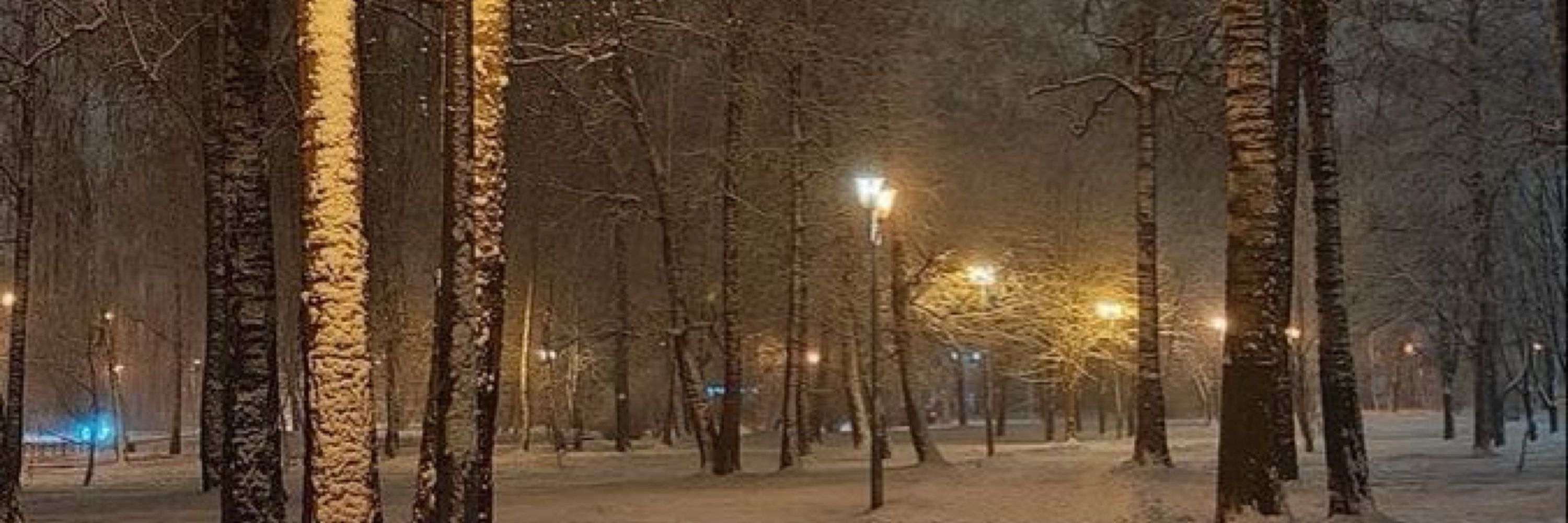 케이 ❄️