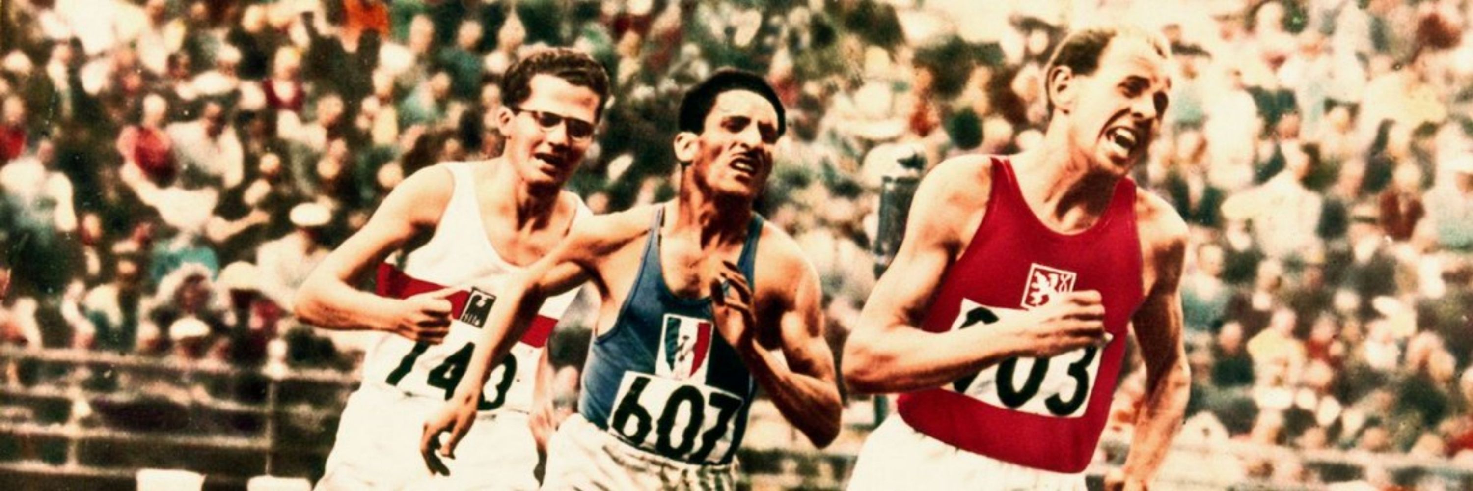 Erkan Gökber