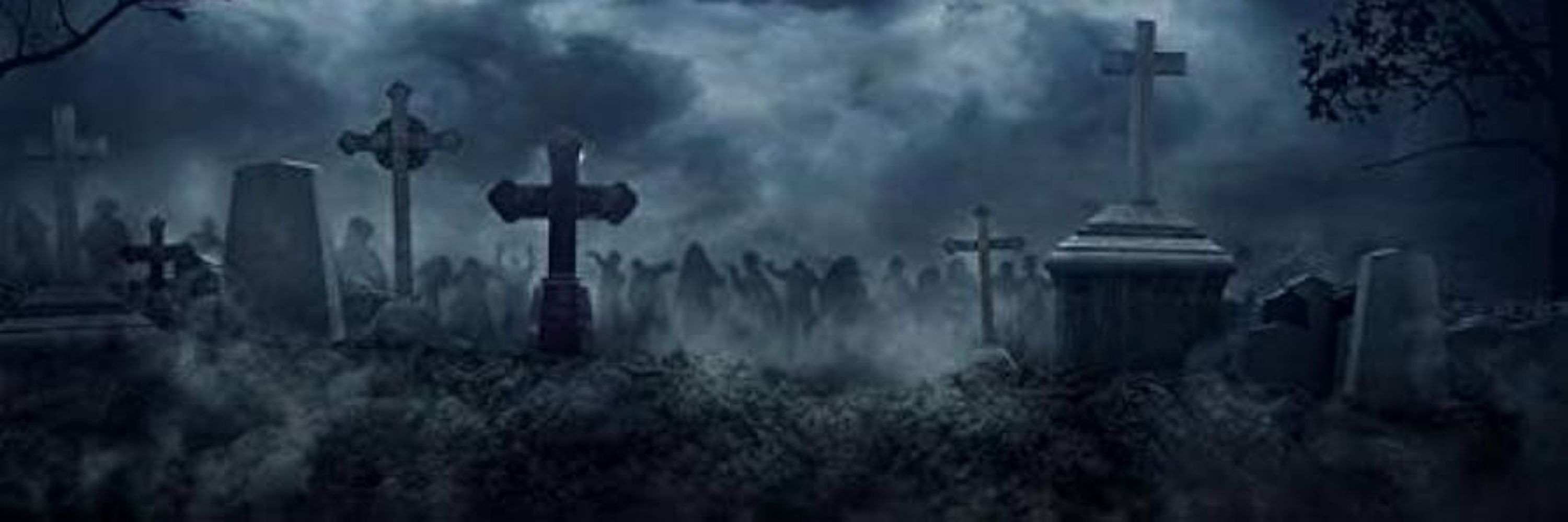 Goth Moth in a Graveyard