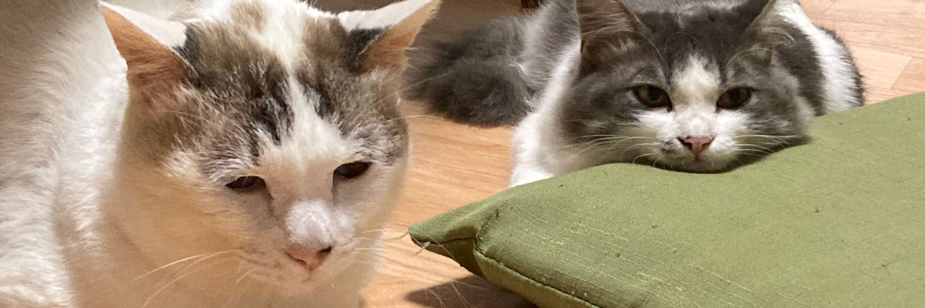 もち吉がすきだ
