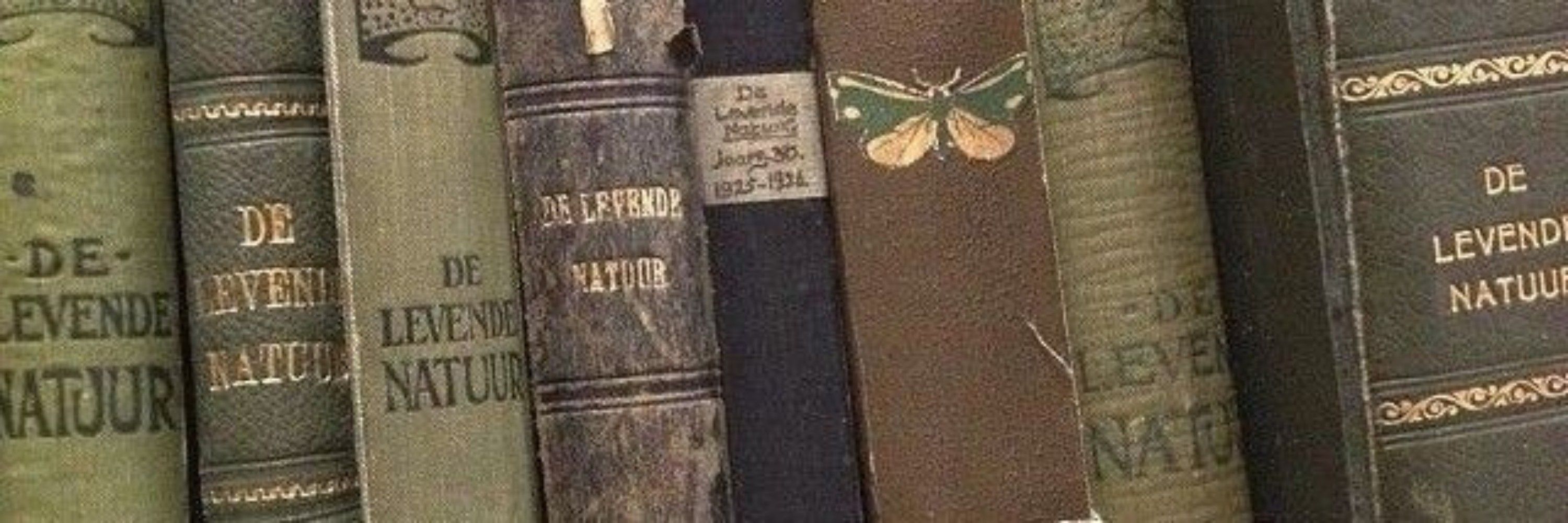 cacaia