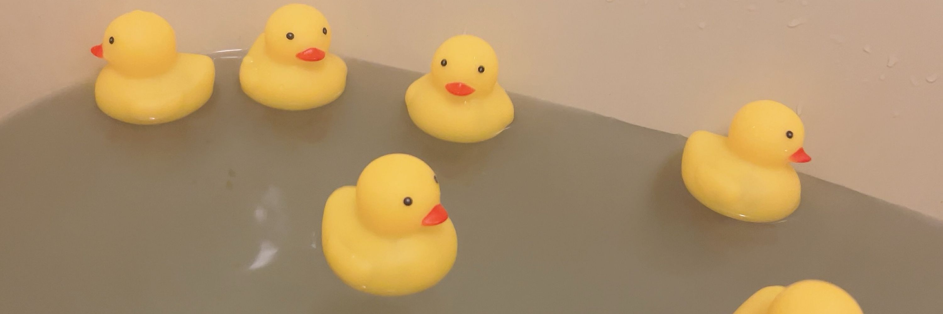 あおやぎめぐみ