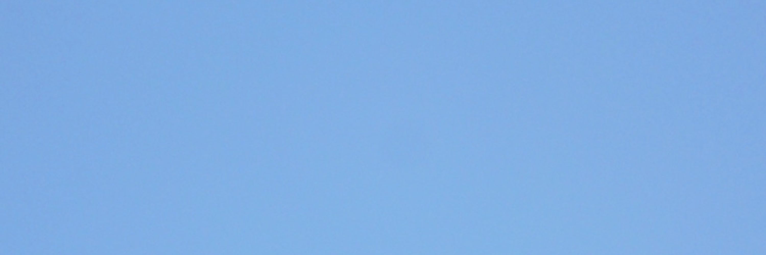 Midia Nuri