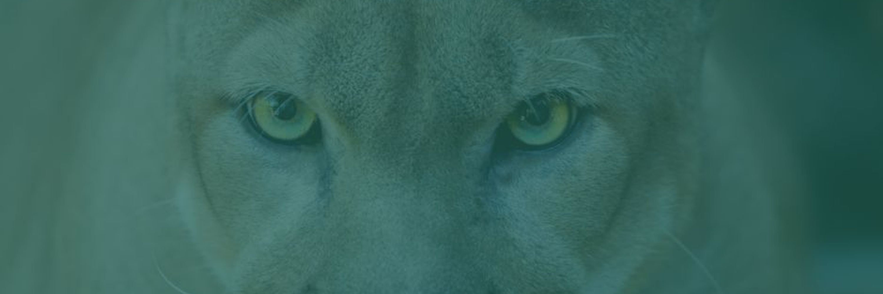 Florida Wildlife Federation