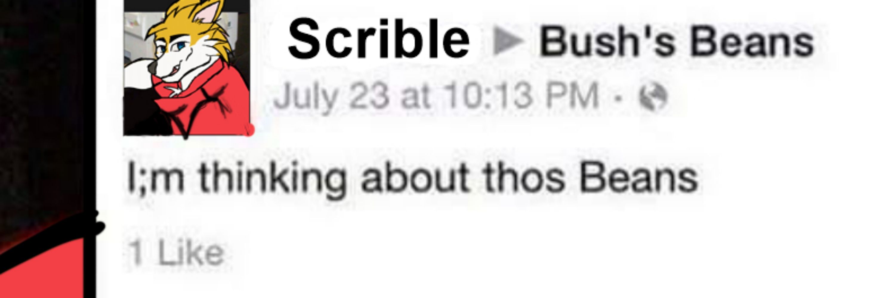 Scrible