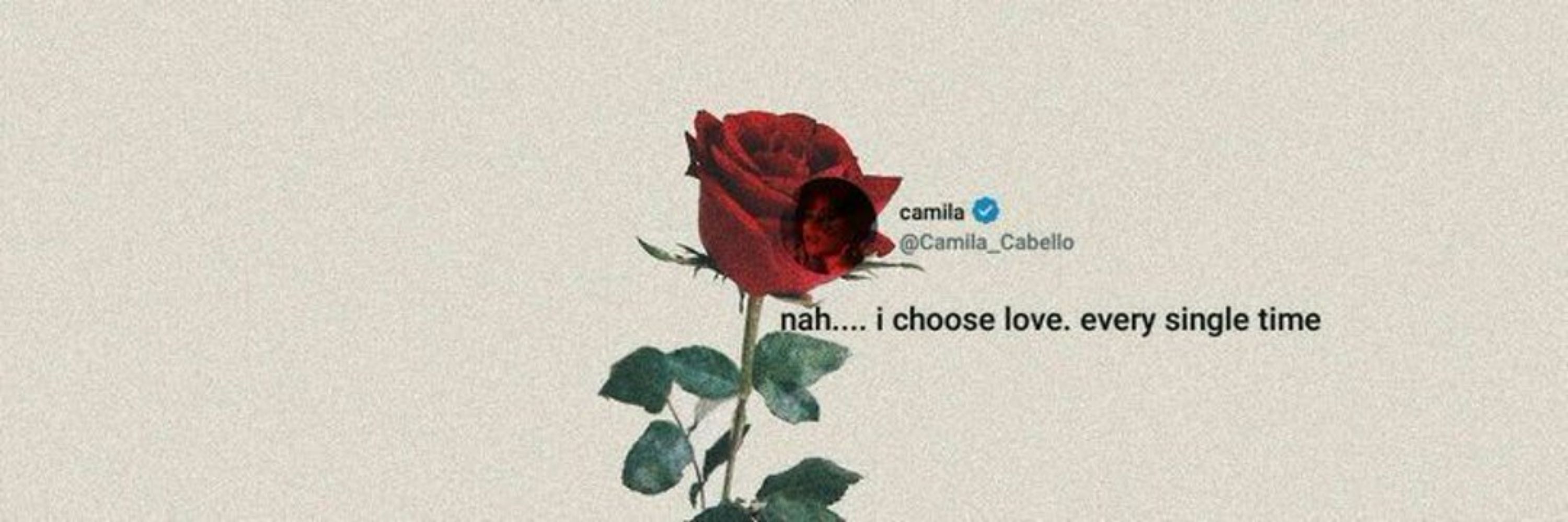 𝓜𝓱𝓪𝓪𝓻𝓬𝓴 𝓒𝓪𝓫𝓮𝓵𝓵𝓸 ❤️