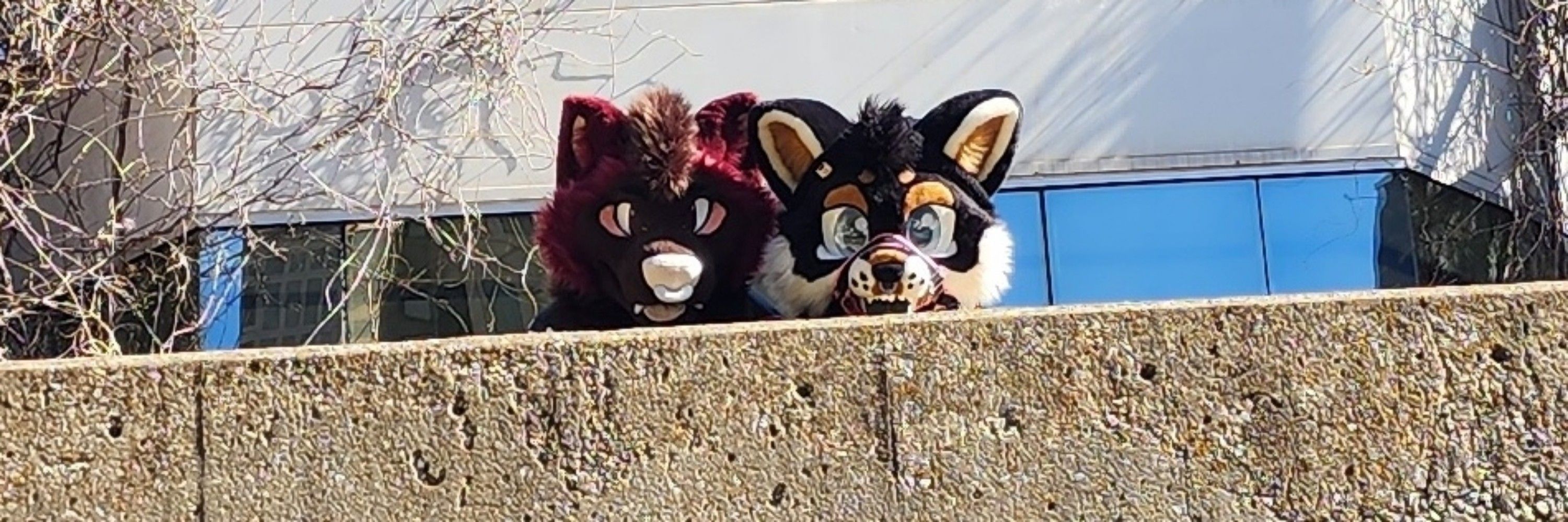 Mochi&Bowie