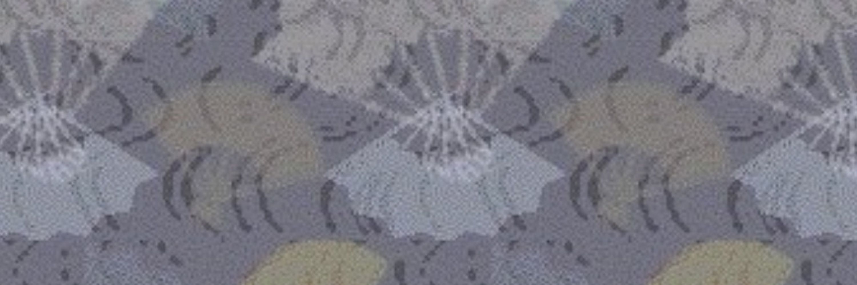にぶ