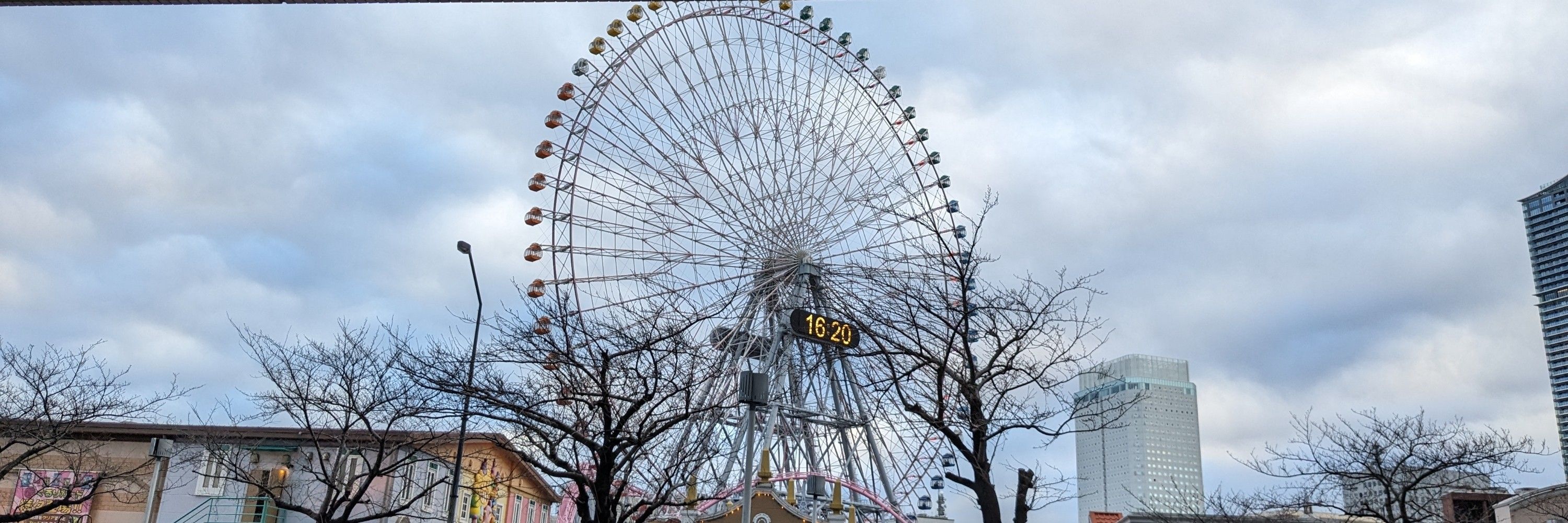 まるこ