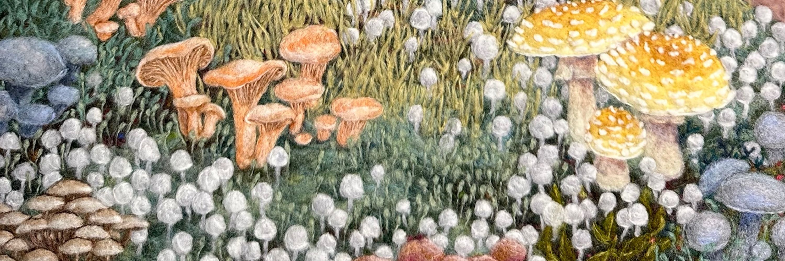 Dani Ives | Fiber Artist