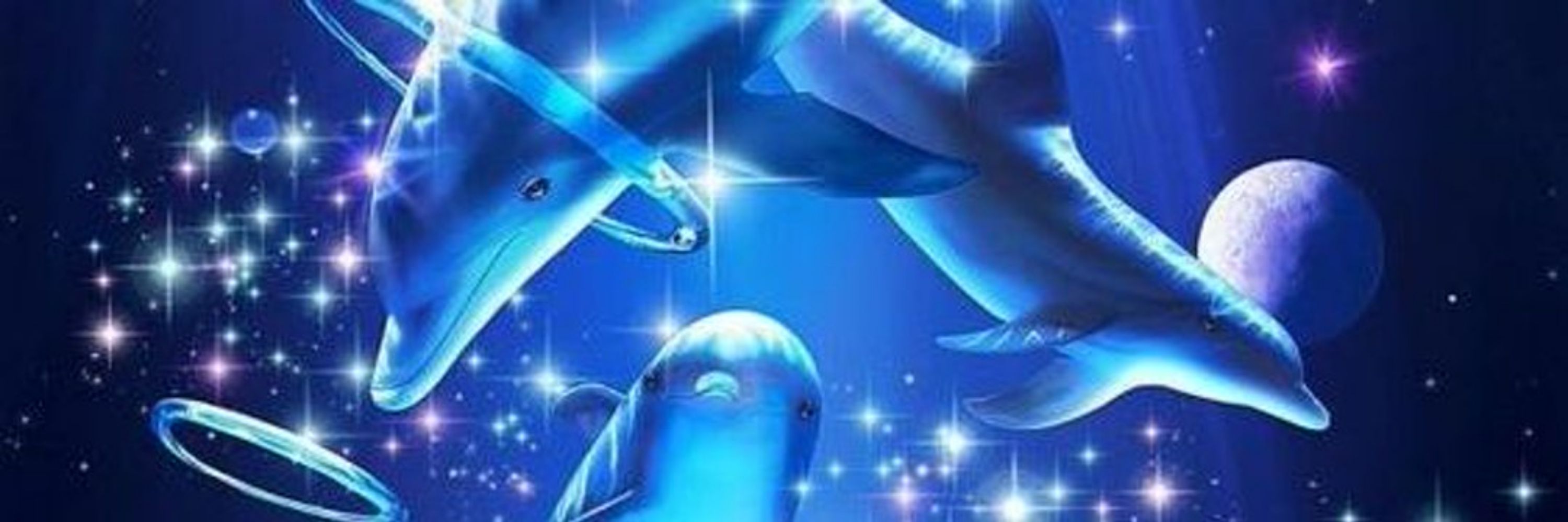 bliv 🌸🐬