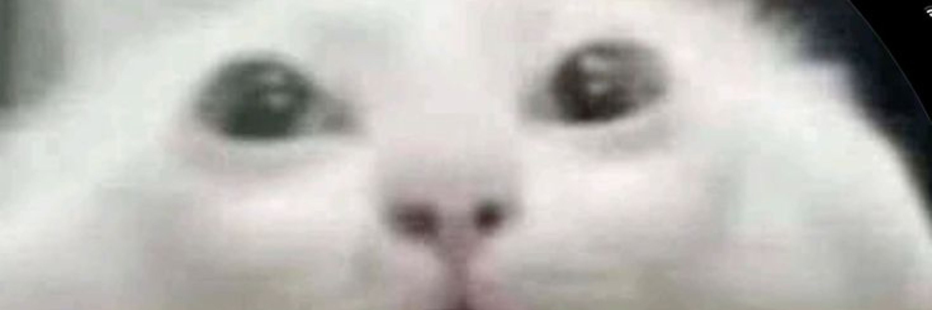 berv