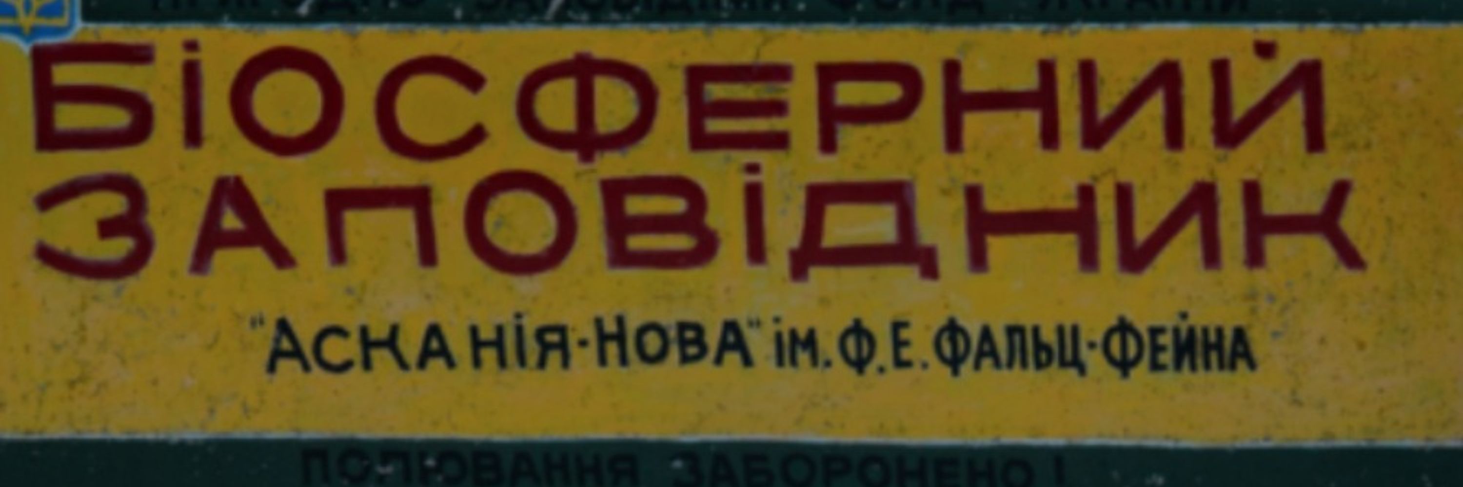 Штахетина Кавунівна 