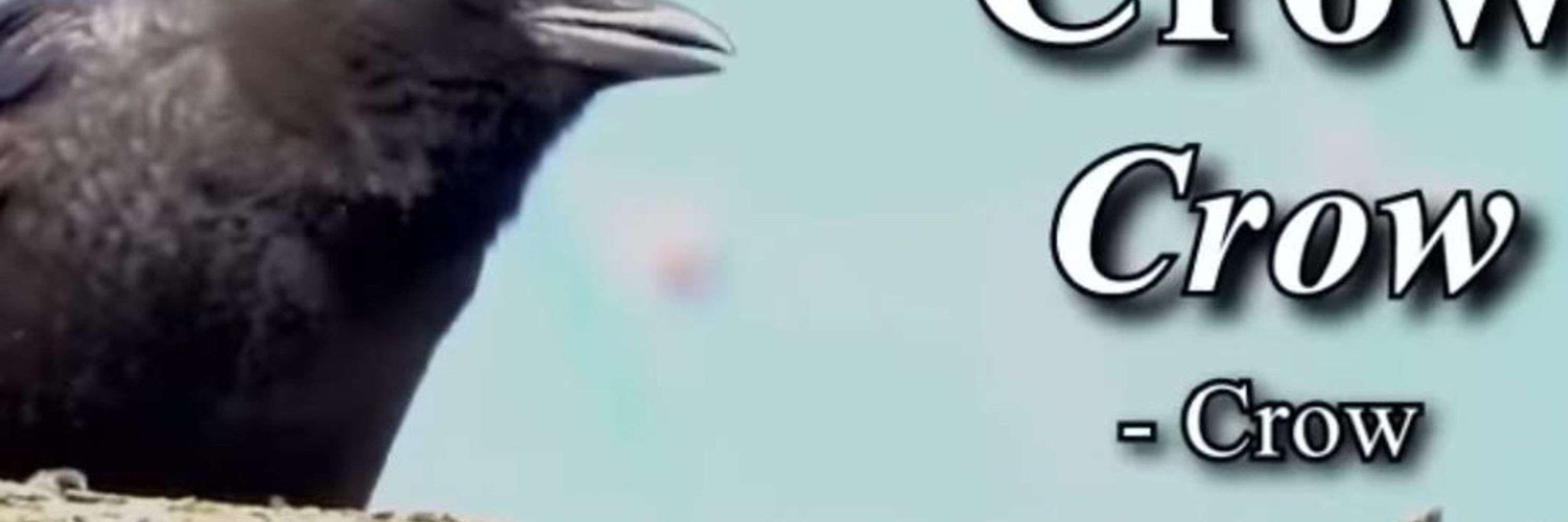 Dissy Kurosu (Crow Alchemist VT)