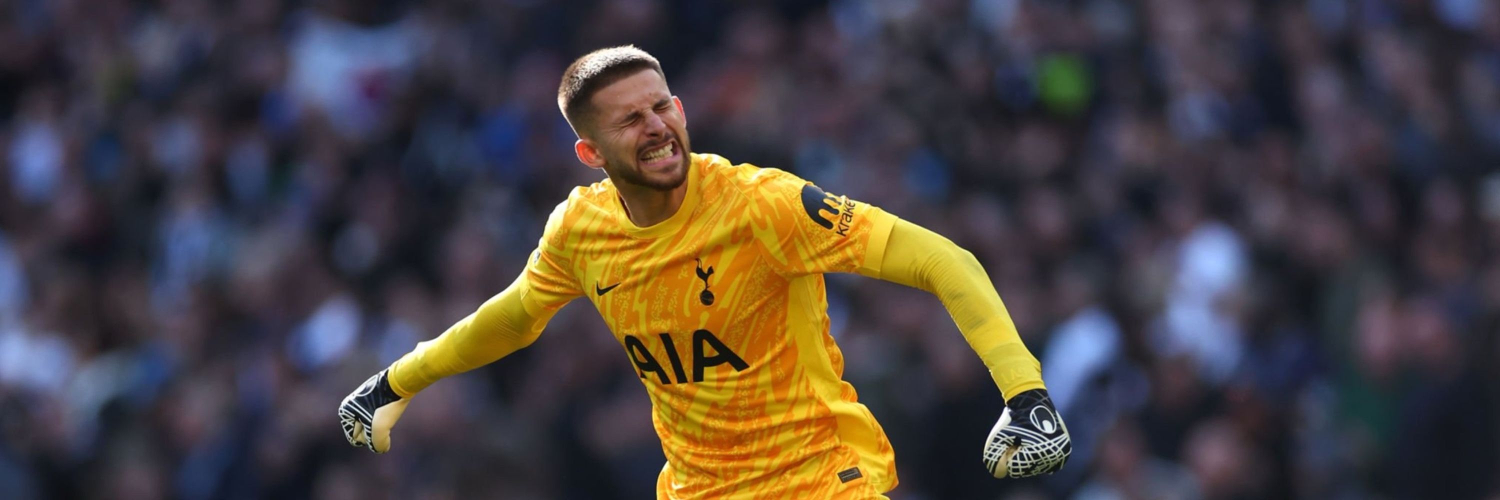 Spurs Army