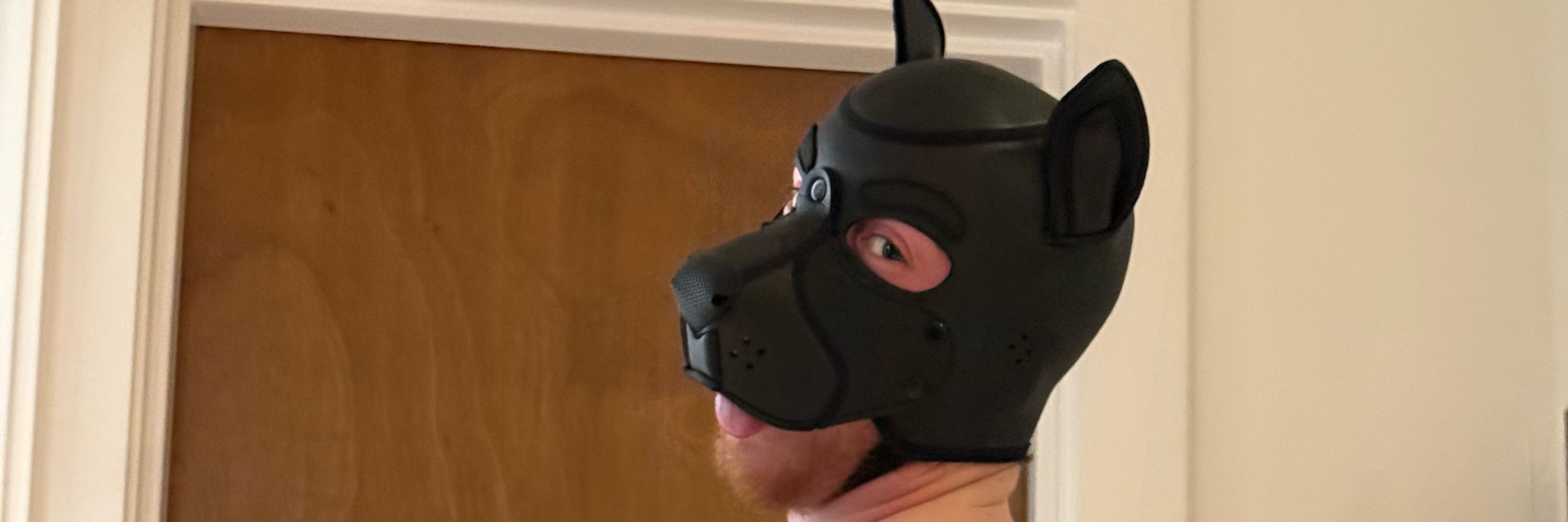 Cometispup