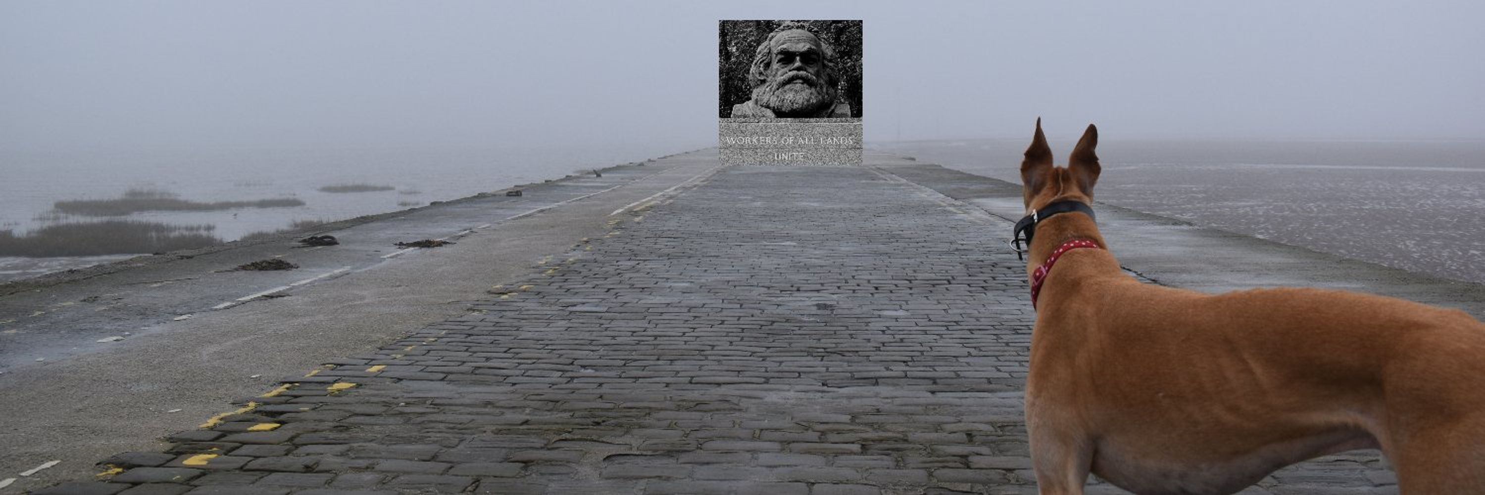 Saul Staniforth