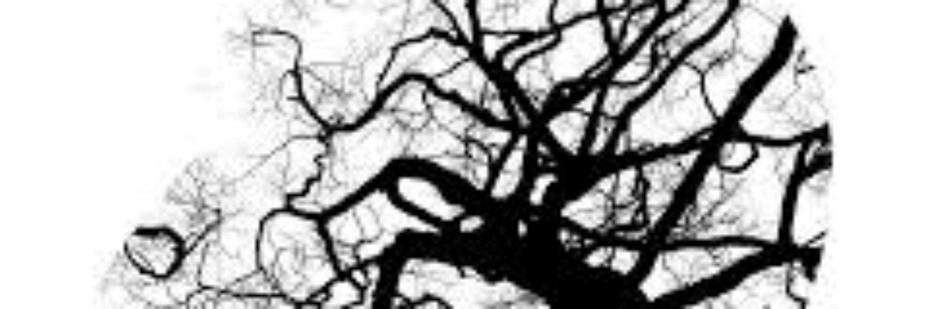 Dark Cottage Design - Emily Peelman