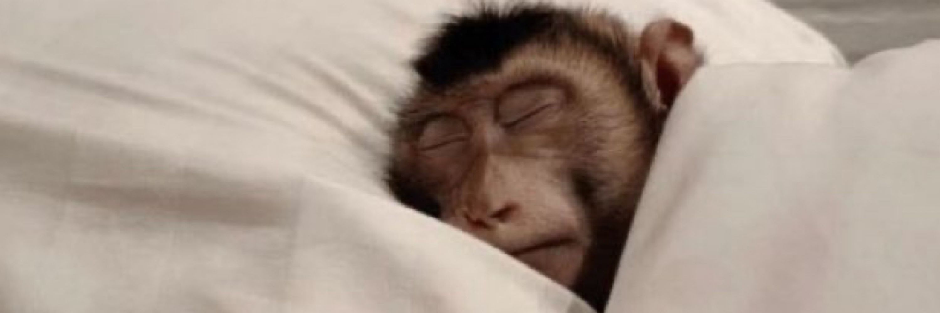 Filipe 