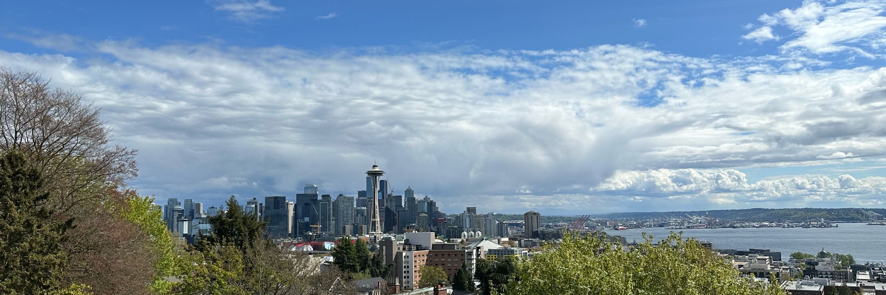 ToddyB in Seattle 💙🦋☮️🫏