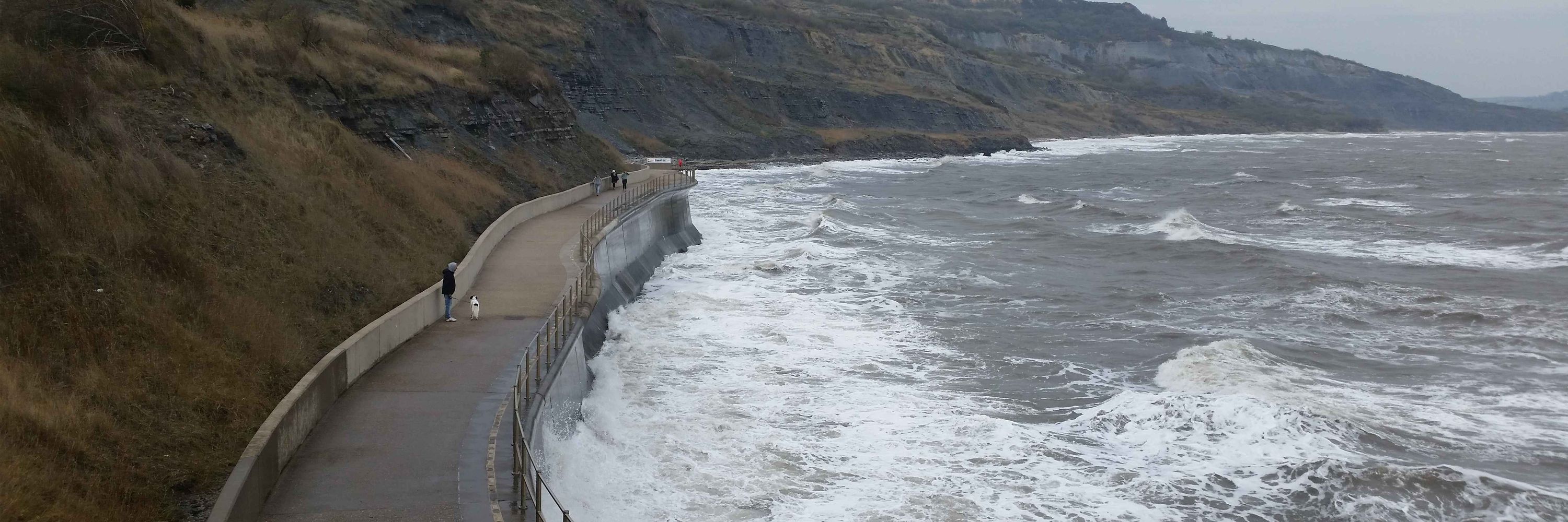 Centre for Climate Adaptation & Environment Research