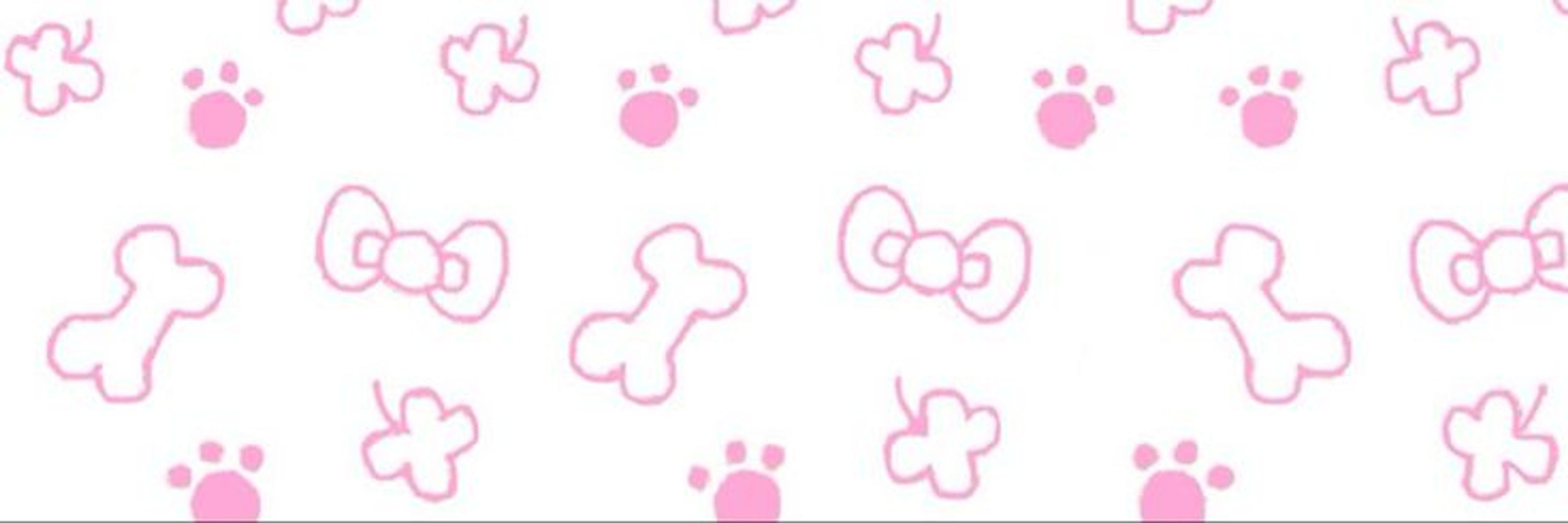 🎀🍰