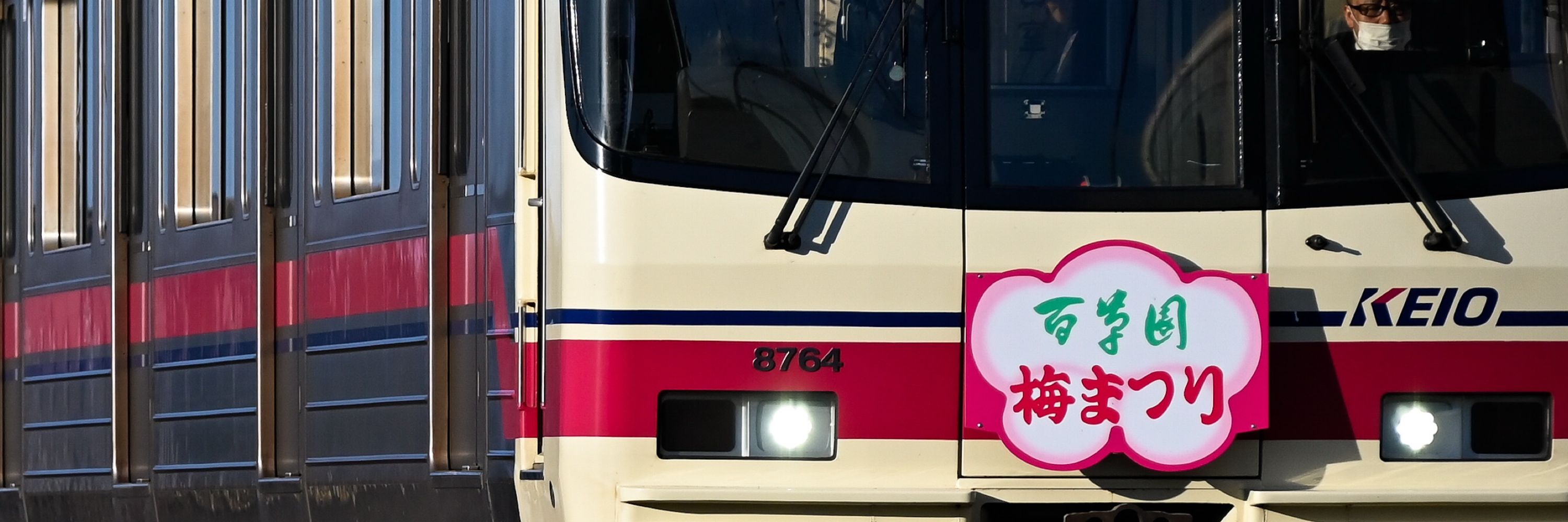 青菜