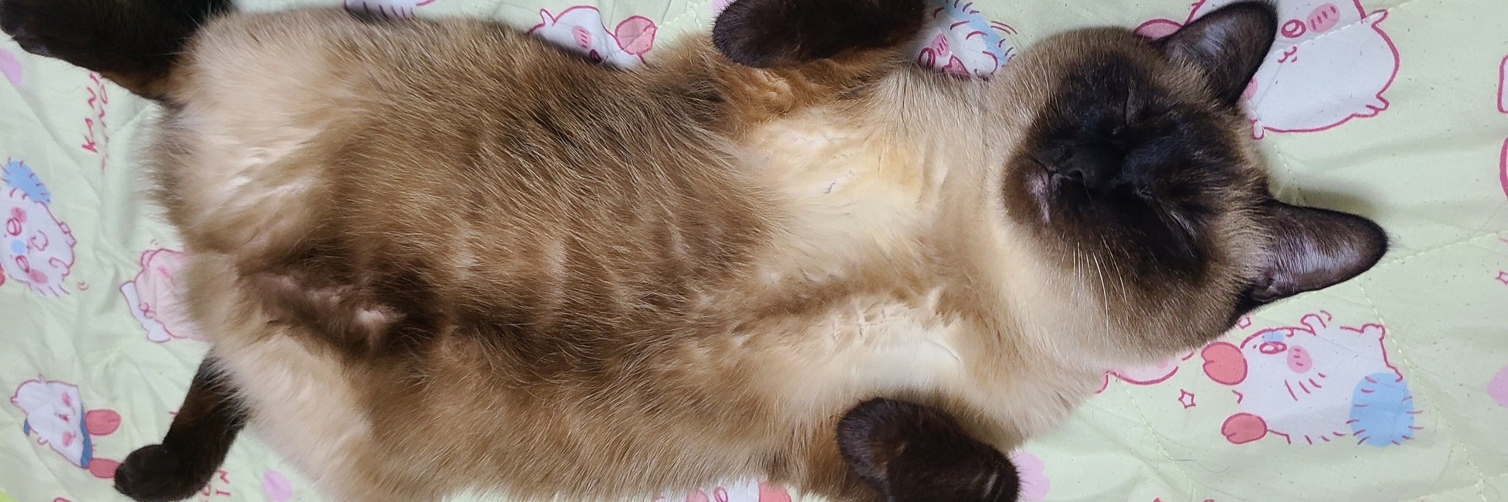 べーさん