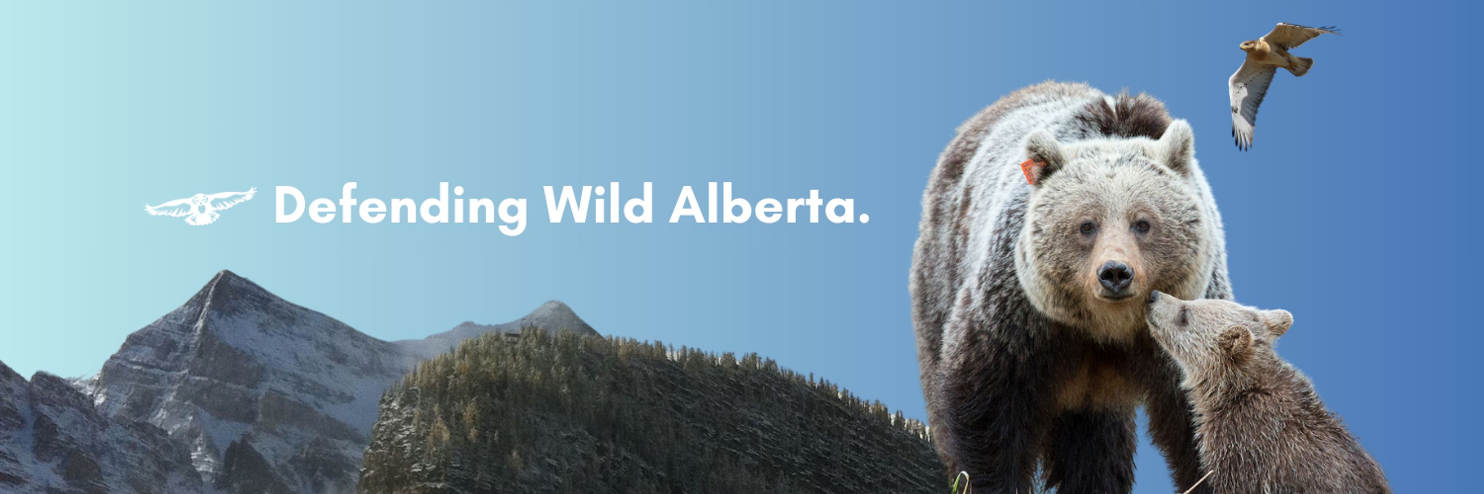 Alberta Wilderness Association