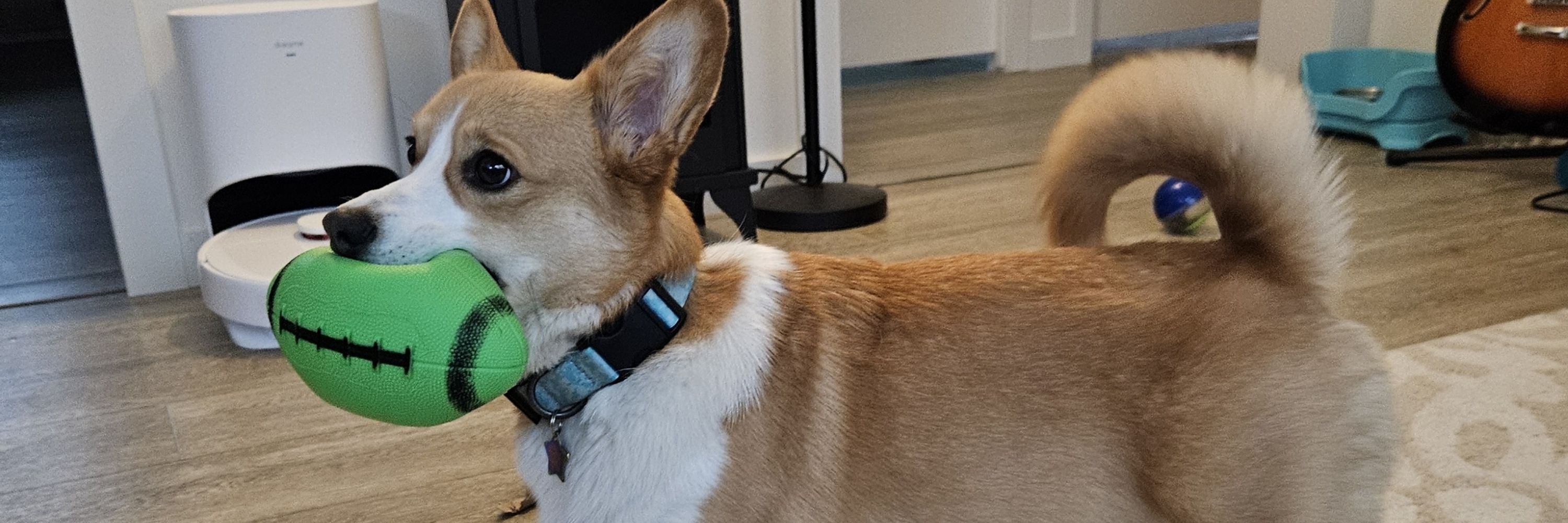Heidi