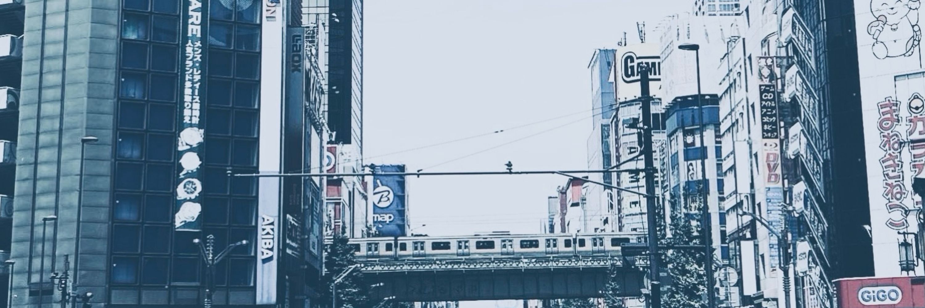 遥🦭🐾