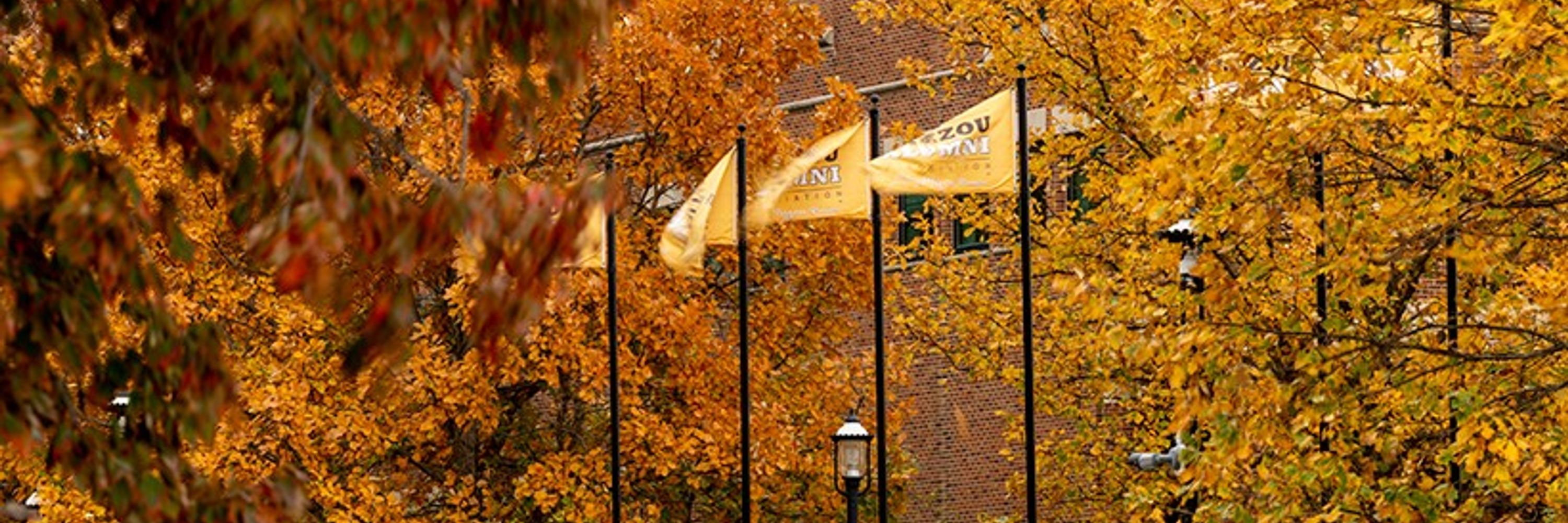 Mizzou Alumni Association