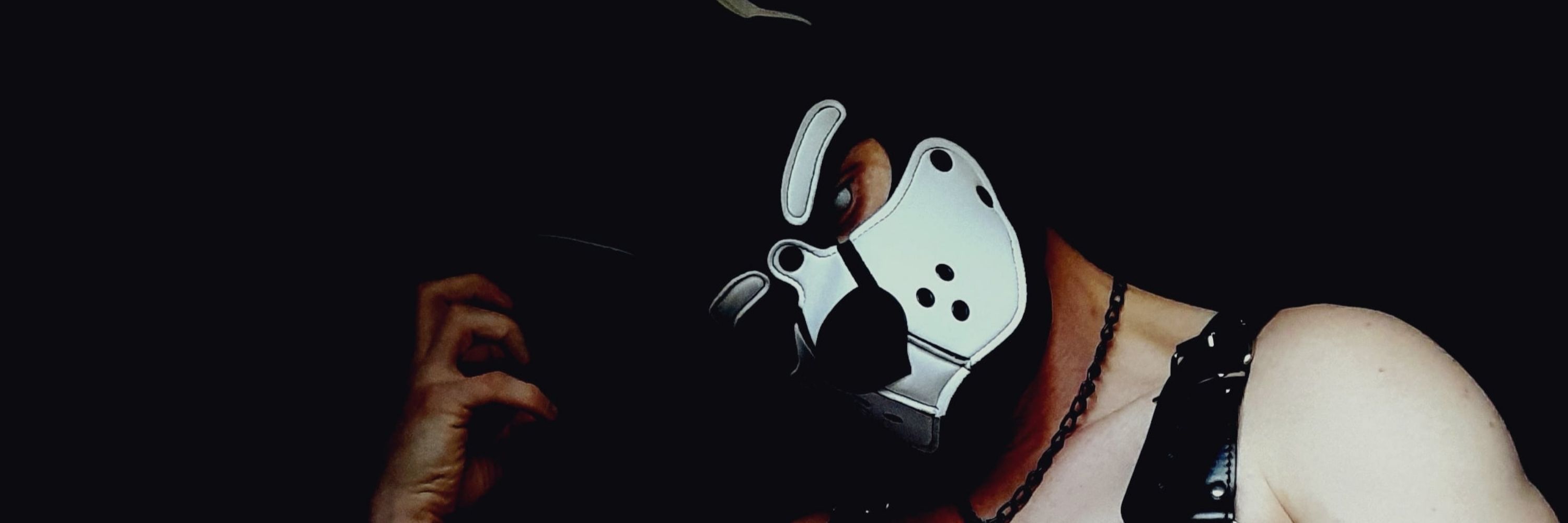 Spooky pup Vaito