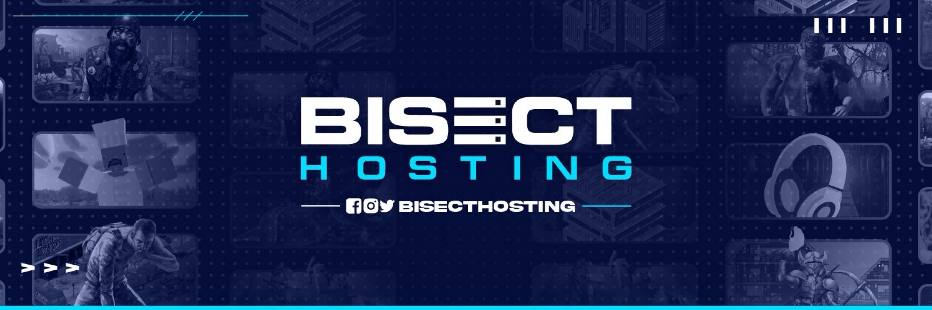 BisectHosting 