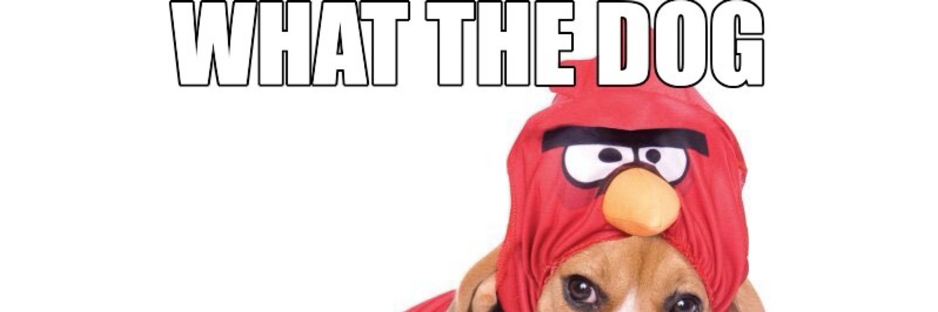 Chicken Man