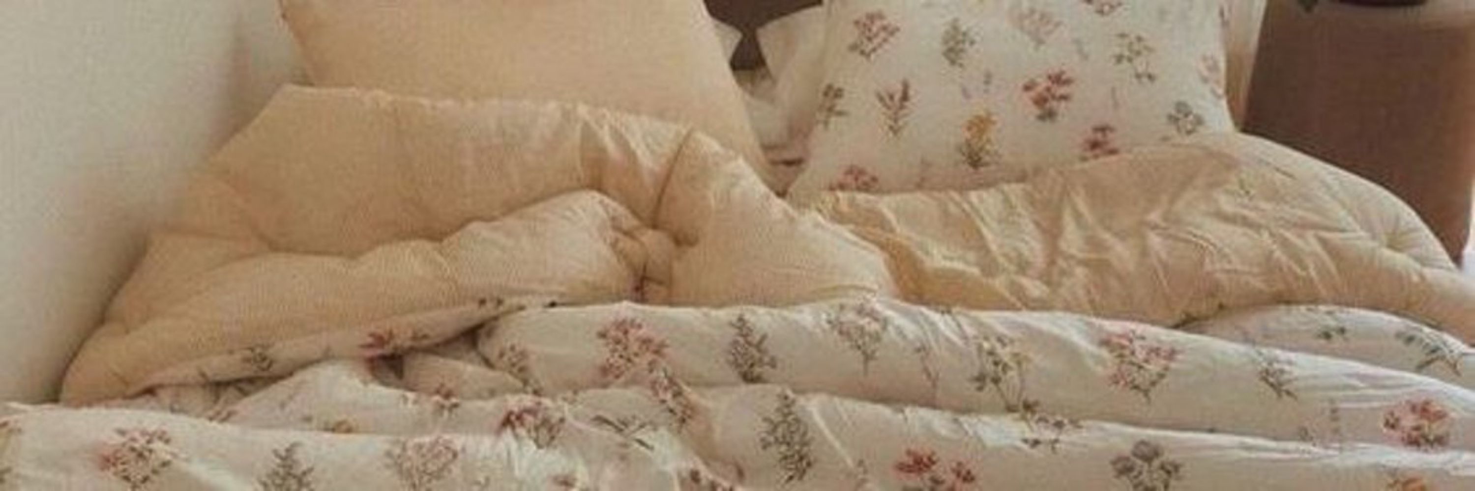 Cozy || Caterpillarsky ₊˚⊹ᡣ𐭩