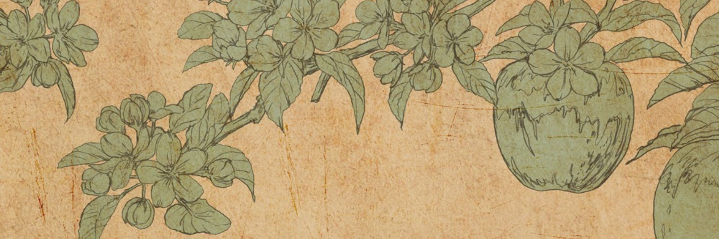 七尾