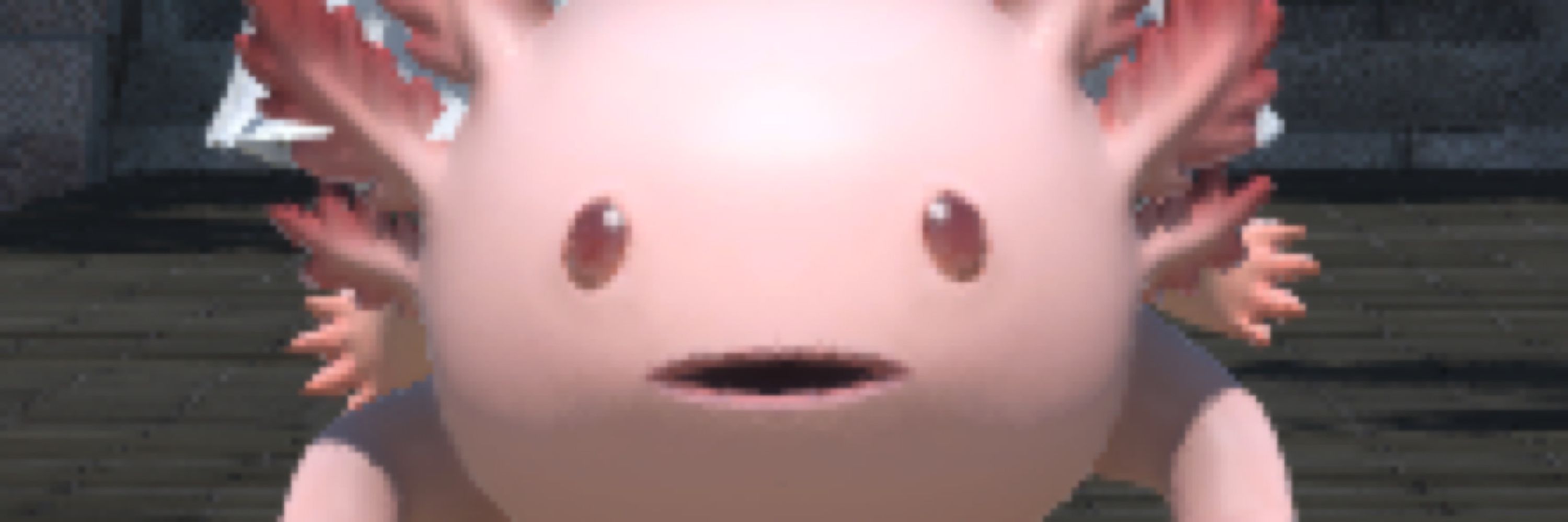 Schmeepo