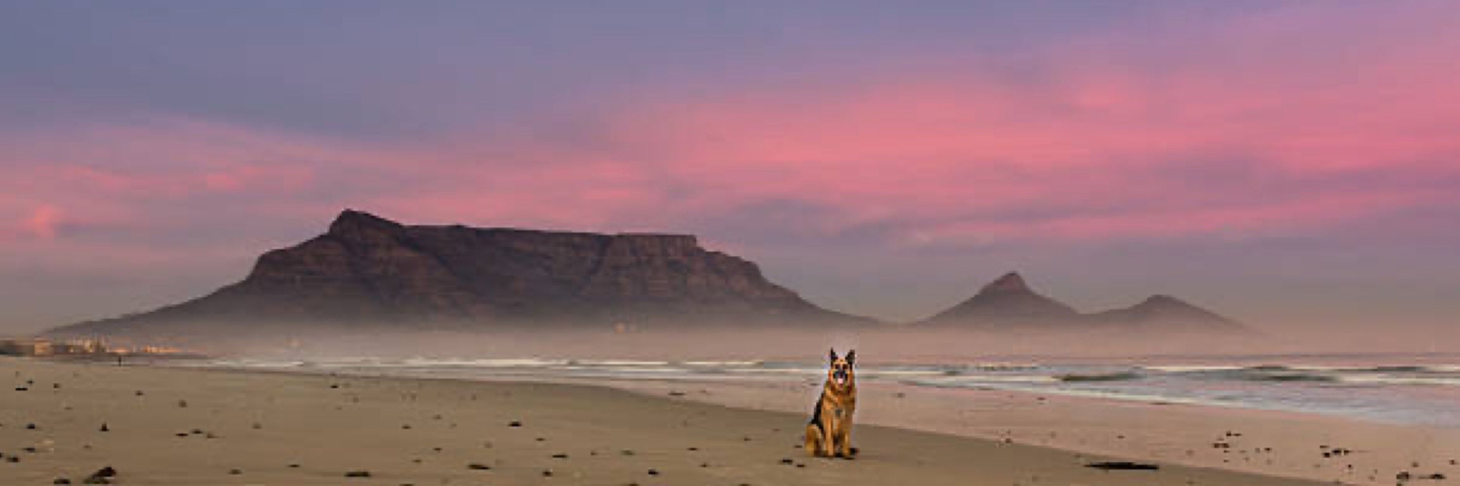 Sias Steyn