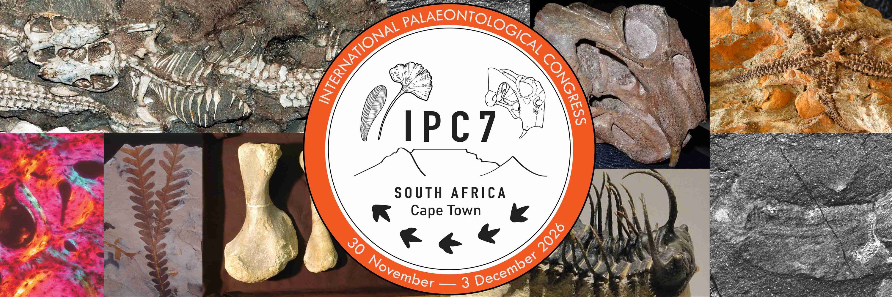 IPC7