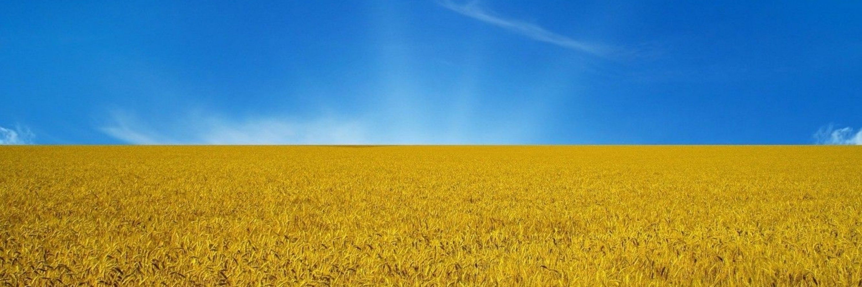 Украинский фон